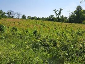 Land for Sale in Perry County, IN (3 of 8)