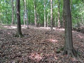 Land for Sale in Perry County, IN (4 of 8)