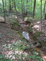 Land for Sale in Perry County, IN (5 of 8)