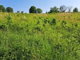 Land for Sale in Perry County, IN (6 of 8)