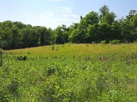 Land for Sale in Perry County, IN (7 of 8)