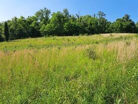 Land for Sale in Perry County, IN (8 of 8)