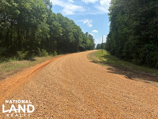 Prime Homesite & Hunting Land in Oktibbeha County, MS (9 of 21)