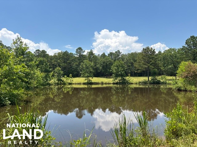 Prime Homesite & Hunting Land in Oktibbeha County, MS (2 of 21)