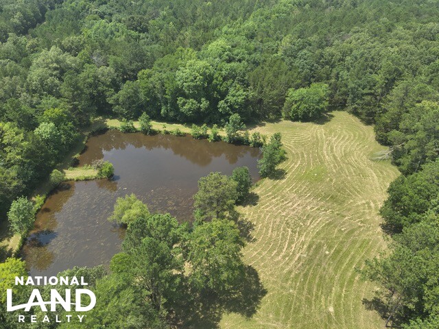 Prime Homesite & Hunting Land in Oktibbeha County, MS (4 of 21)