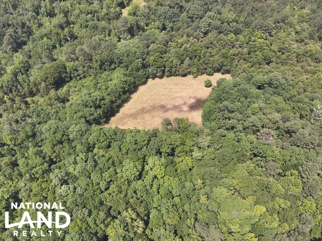 Prime Homesite & Hunting Land in Oktibbeha County, MS (12 of 21)
