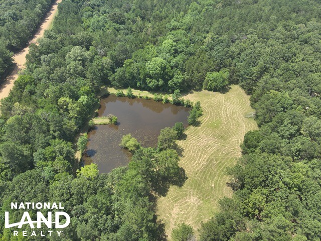 Prime Homesite & Hunting Land in Oktibbeha County, MS (5 of 21)