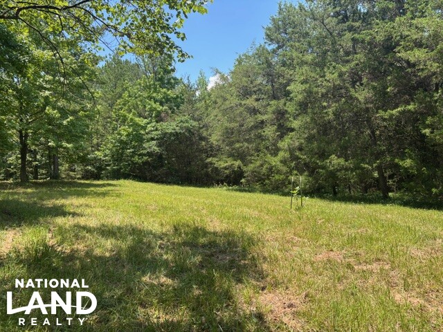 Prime Homesite & Hunting Land in Oktibbeha County, MS (20 of 21)