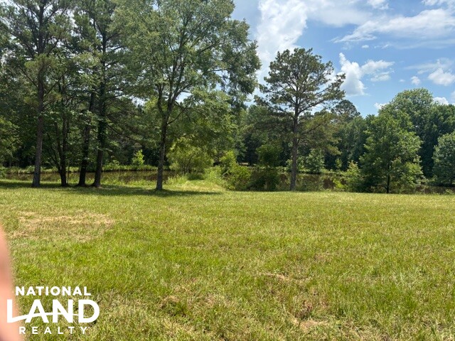 Prime Homesite & Hunting Land in Oktibbeha County, MS (8 of 21)