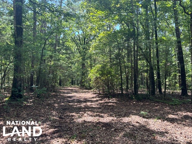 Prime Homesite & Hunting Land in Oktibbeha County, MS (14 of 21)
