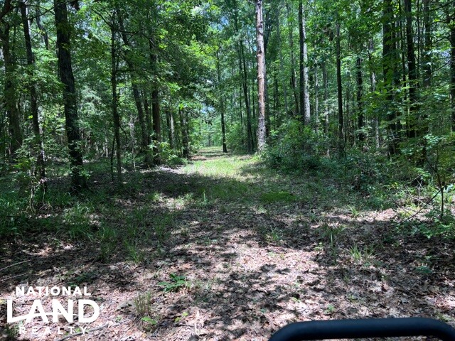 Prime Homesite & Hunting Land in Oktibbeha County, MS (18 of 21)