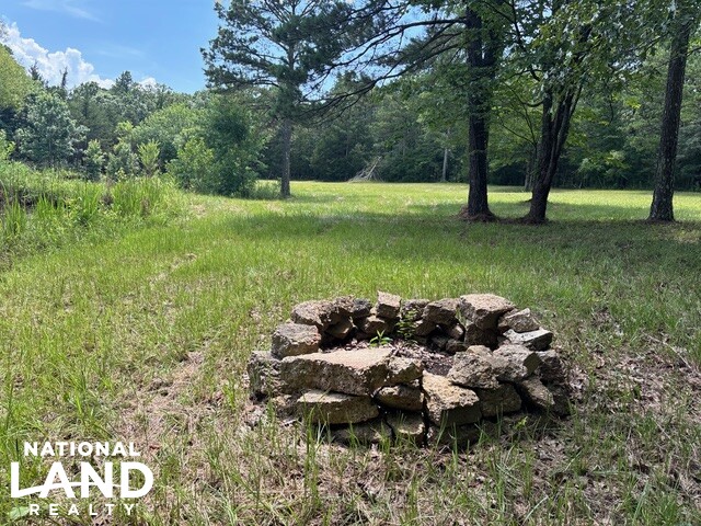 Prime Homesite & Hunting Land in Oktibbeha County, MS (6 of 21)