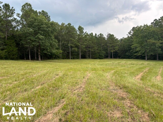 Prime Homesite & Hunting Land in Oktibbeha County, MS (13 of 21)