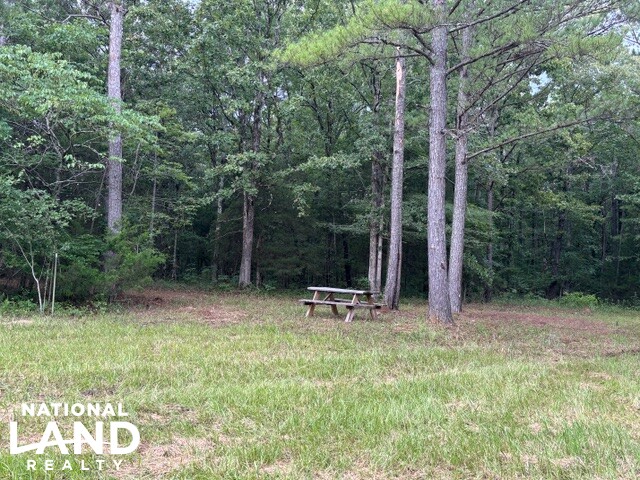 Prime Homesite & Hunting Land in Oktibbeha County, MS (7 of 21)