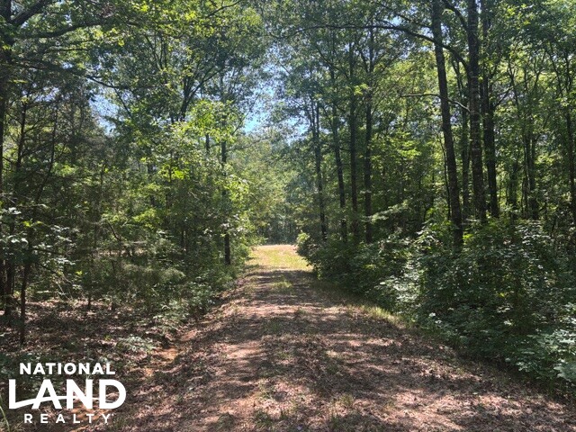Prime Homesite & Hunting Land in Oktibbeha County, MS (21 of 21)