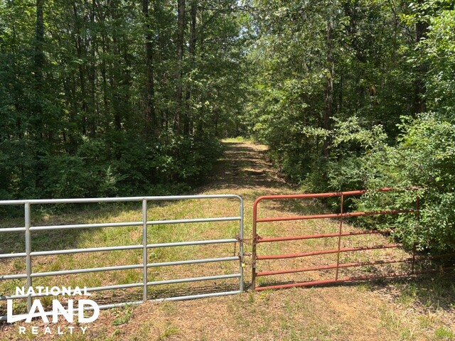 Prime Homesite & Hunting Land in Oktibbeha County, MS (10 of 21)