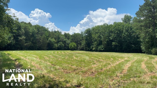 Prime Homesite & Hunting Land in Oktibbeha County, MS (19 of 21)
