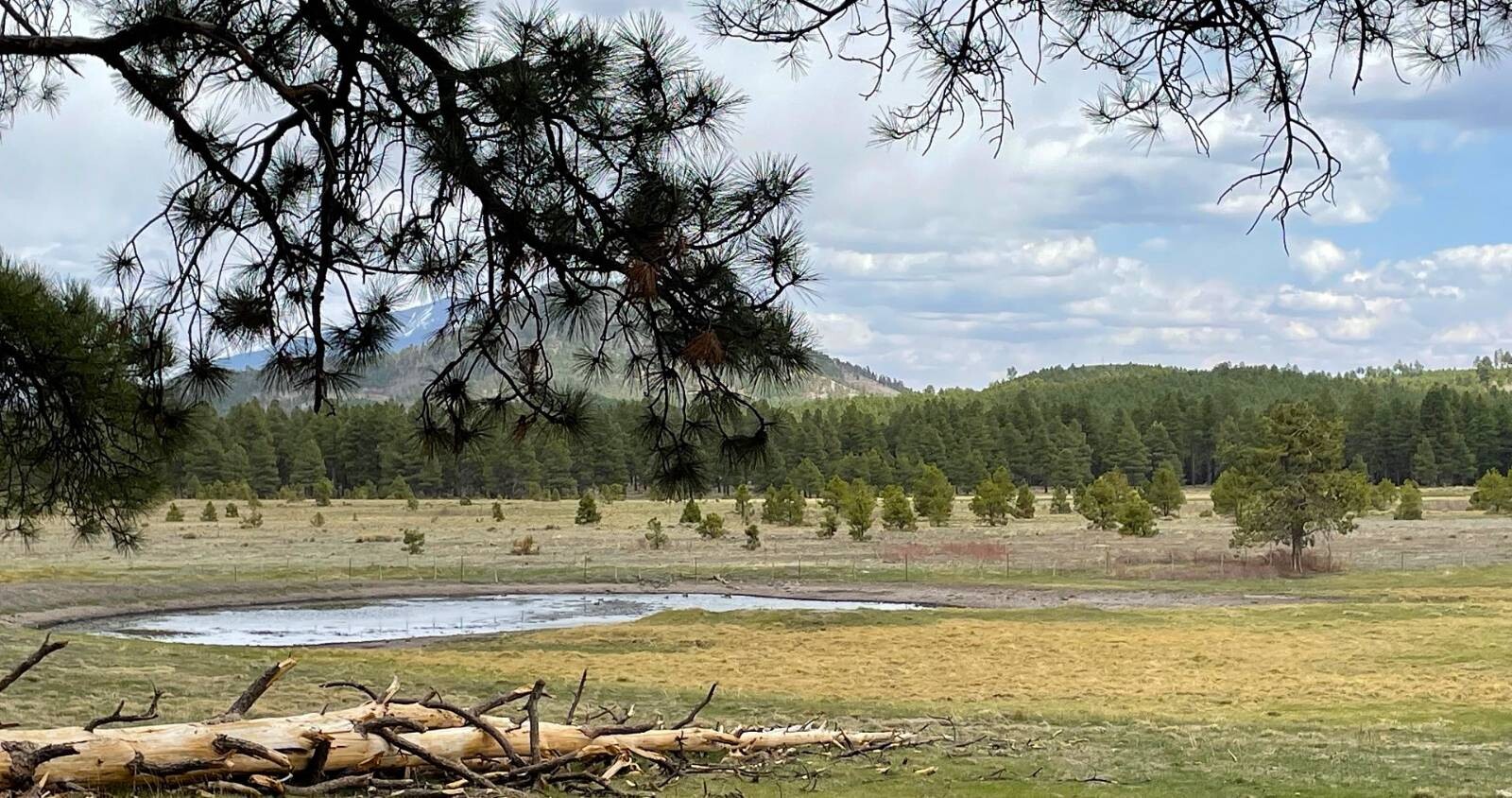 Land for Sale in Yavapai County, AZ (15 of 72)