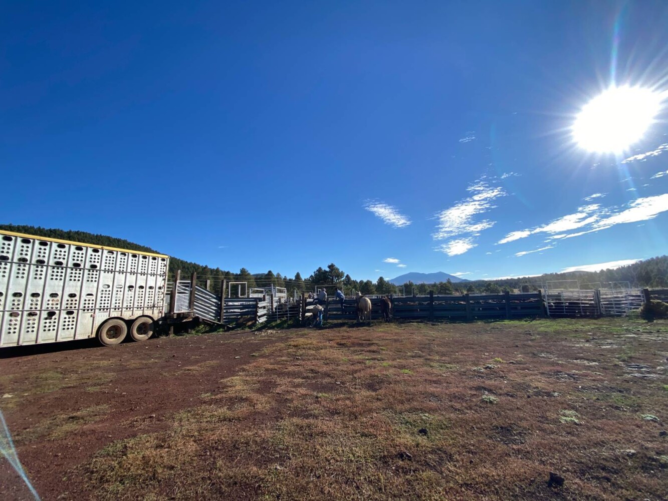 Land for Sale in Yavapai County, AZ (24 of 72)