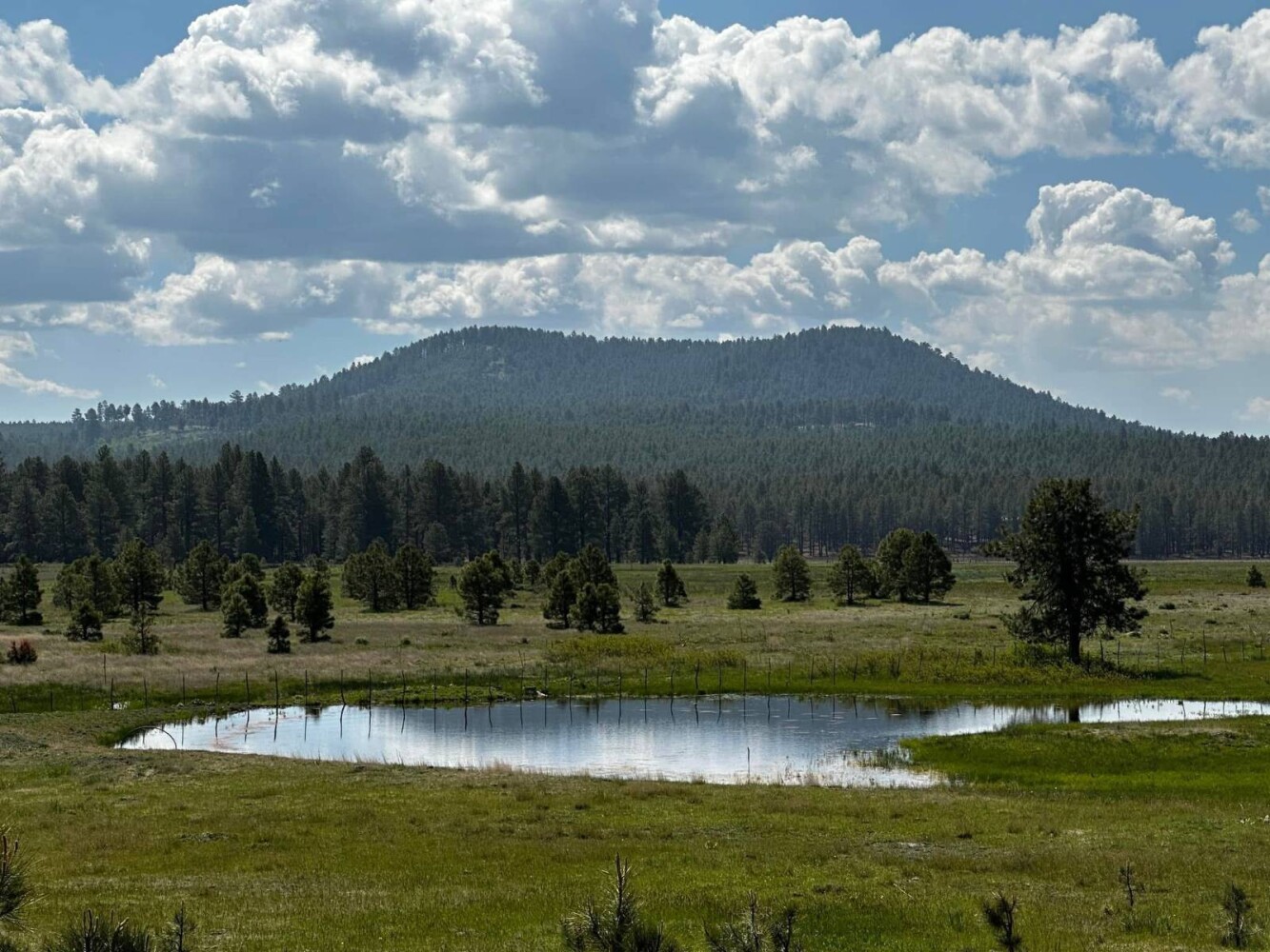 Land for Sale in Yavapai County, AZ (27 of 72)
