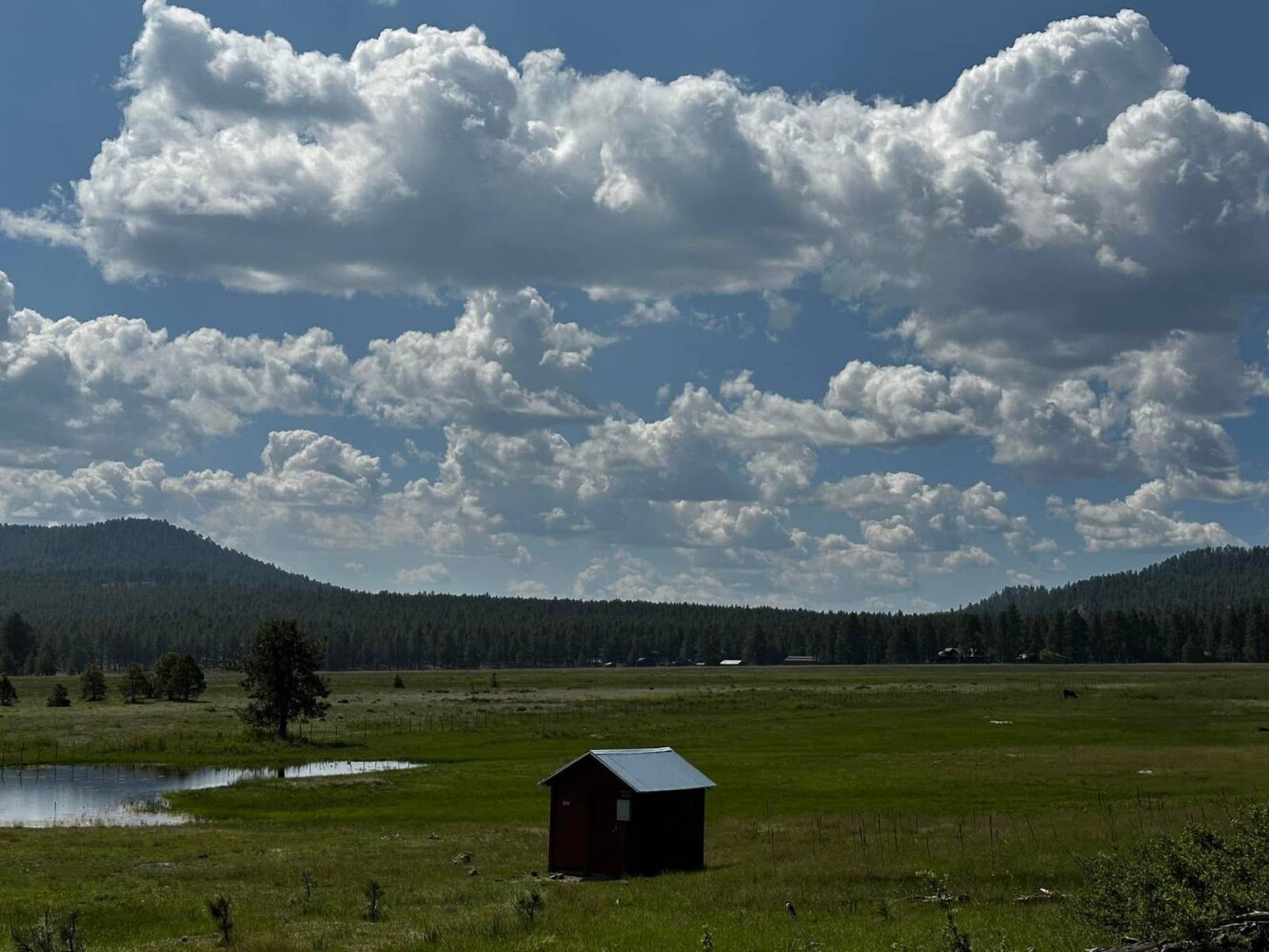 Land for Sale in Yavapai County, AZ (28 of 72)