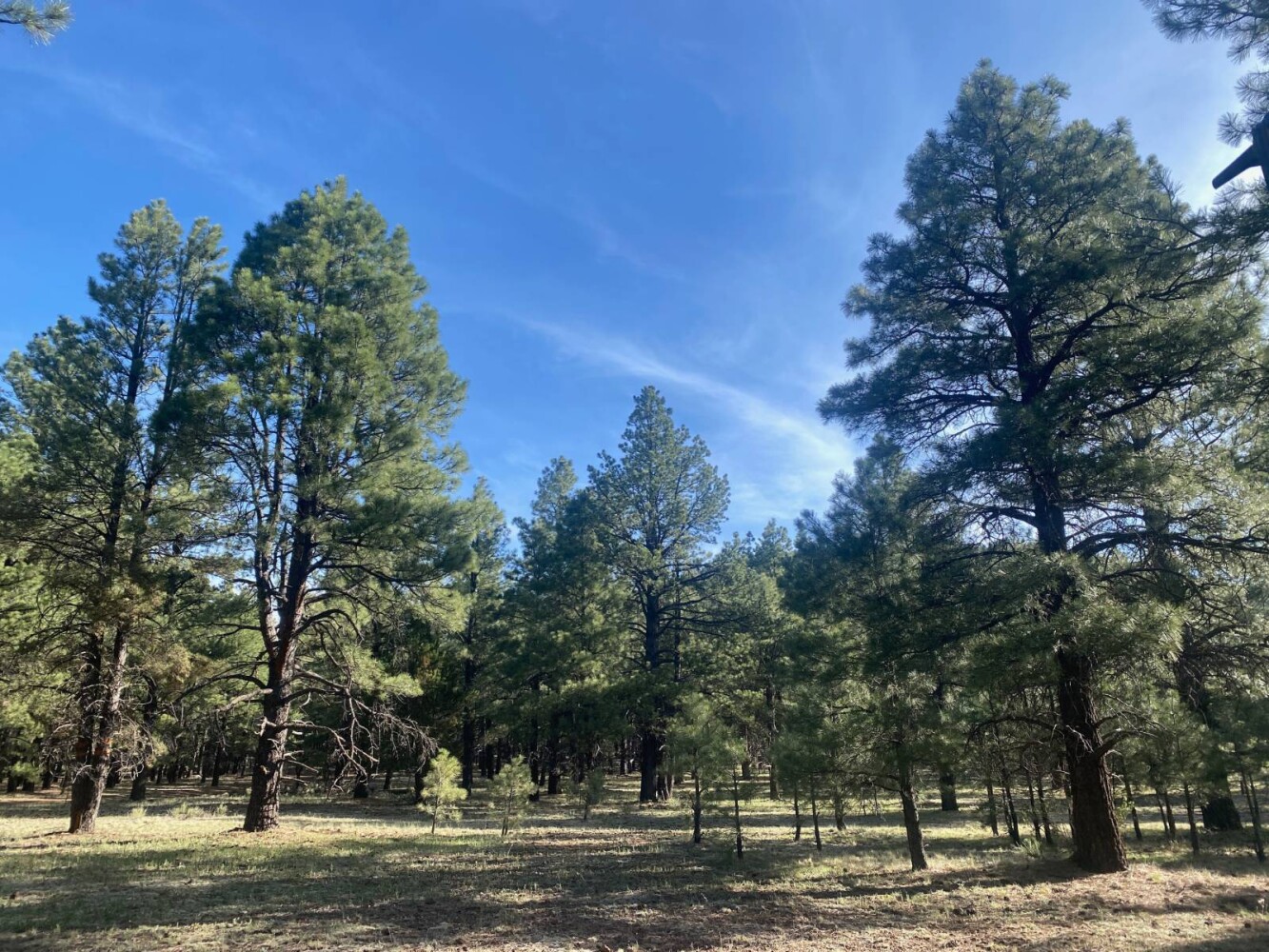 Land for Sale in Yavapai County, AZ (32 of 72)