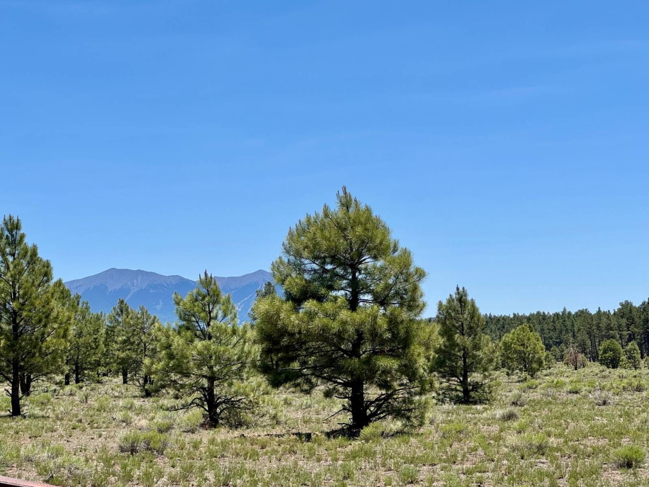 Land for Sale in Yavapai County, AZ (68 of 72)