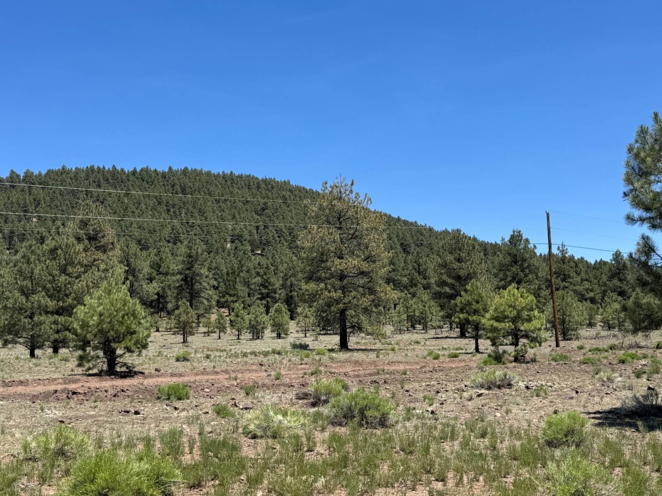 Land for Sale in Yavapai County, AZ (69 of 72)
