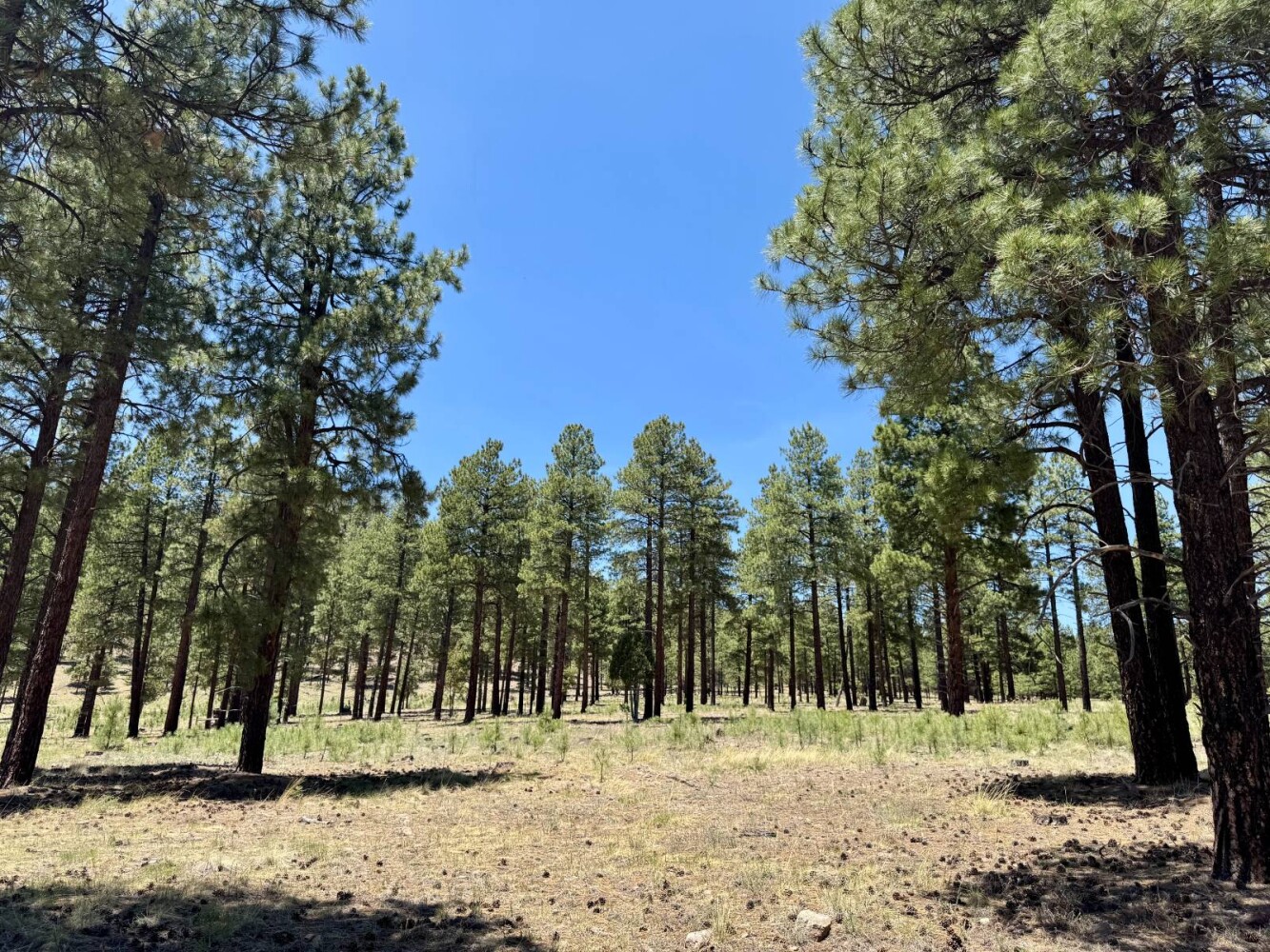 Land for Sale in Yavapai County, AZ (70 of 72)