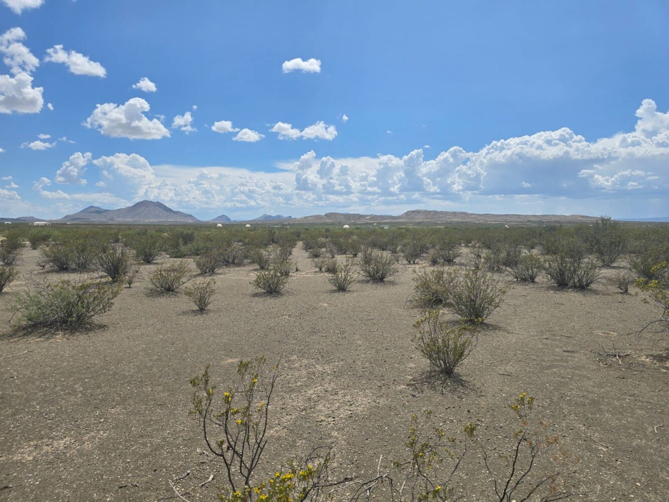 Land for Sale in Brewster County, TX (1 of 8)