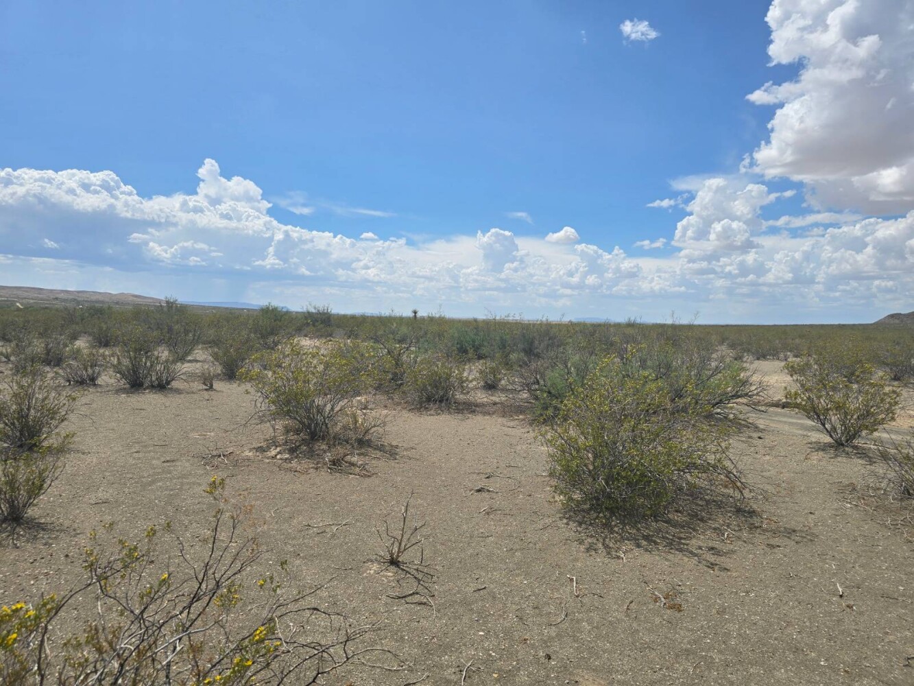 Land for Sale in Brewster County, TX (2 of 8)