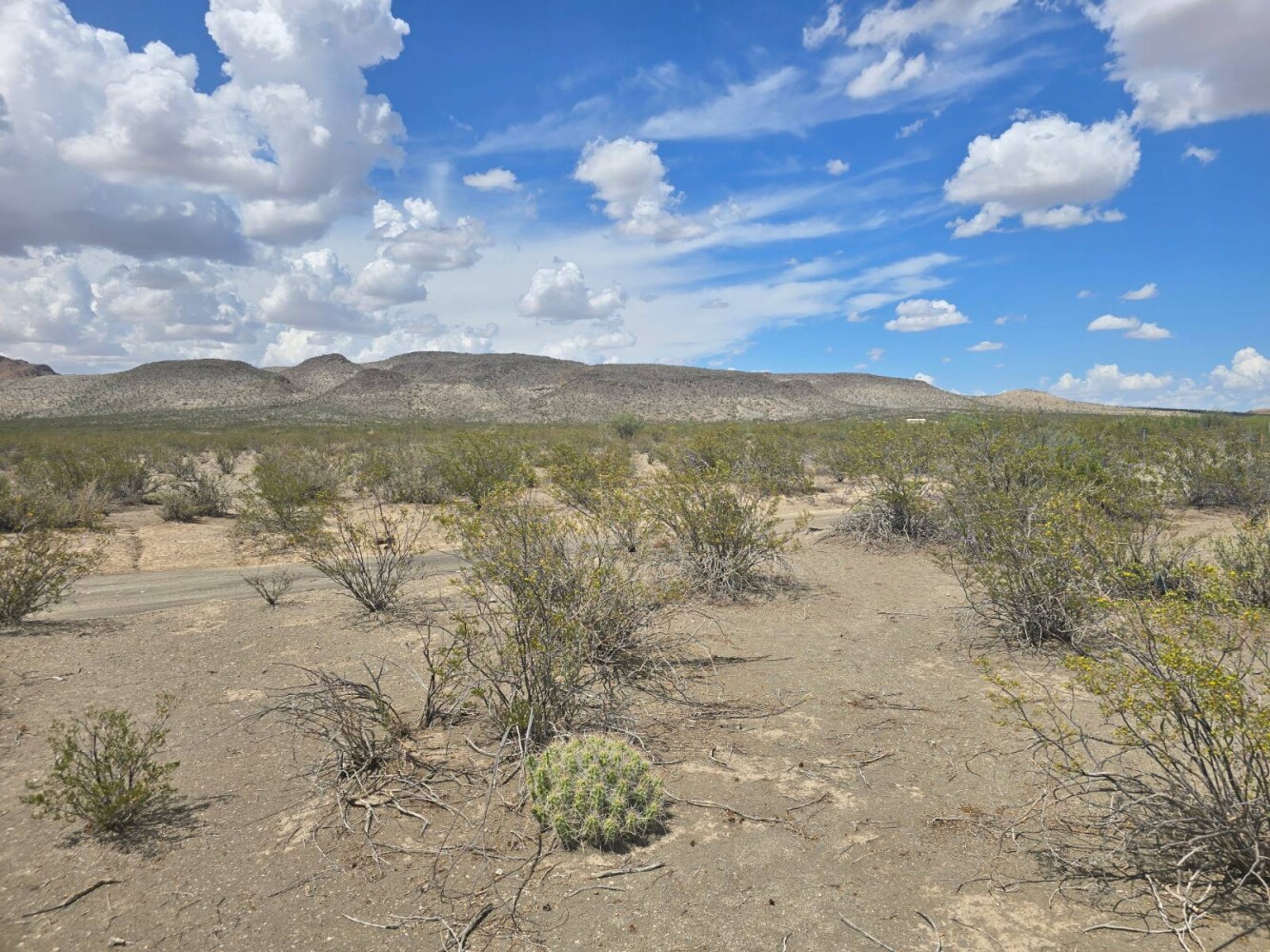 Land for Sale in Brewster County, TX (3 of 8)