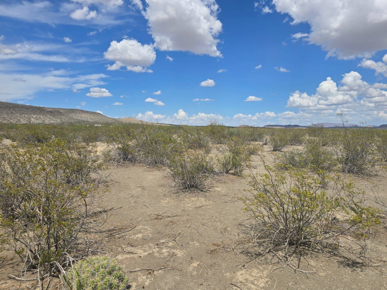 Land for Sale in Brewster County, TX (4 of 8)
