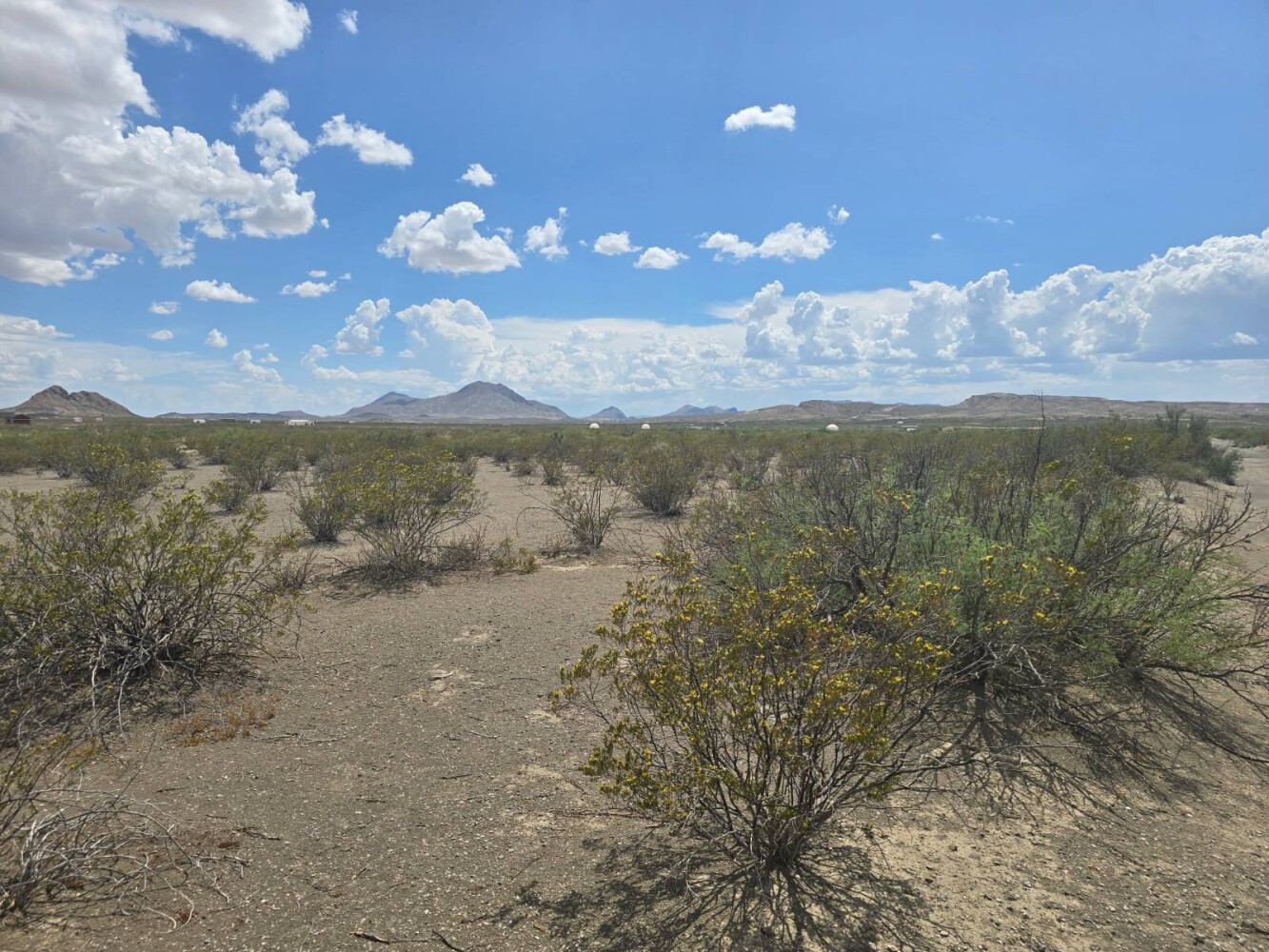 Land for Sale in Brewster County, TX (5 of 8)