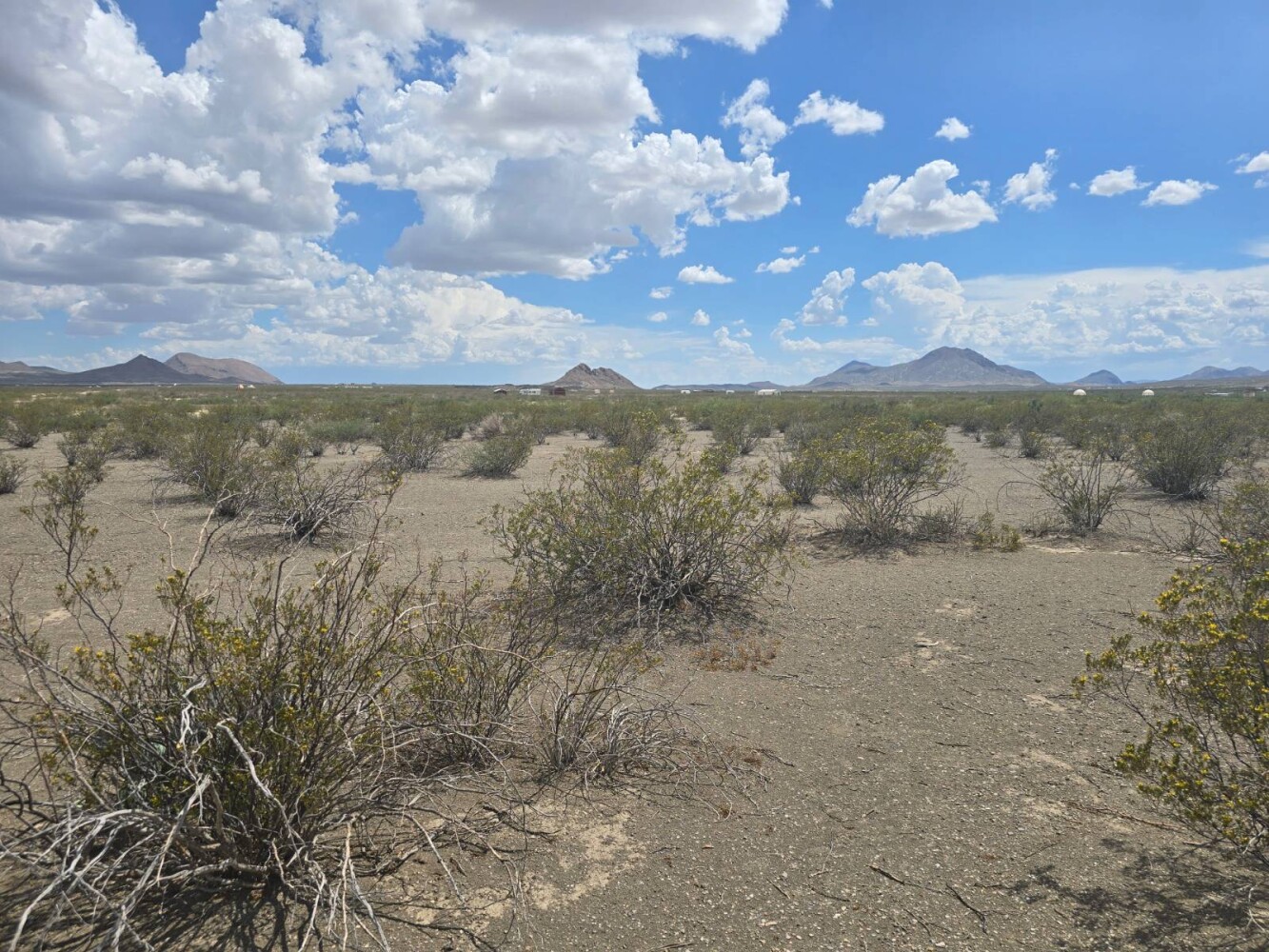 Land for Sale in Brewster County, TX (6 of 8)