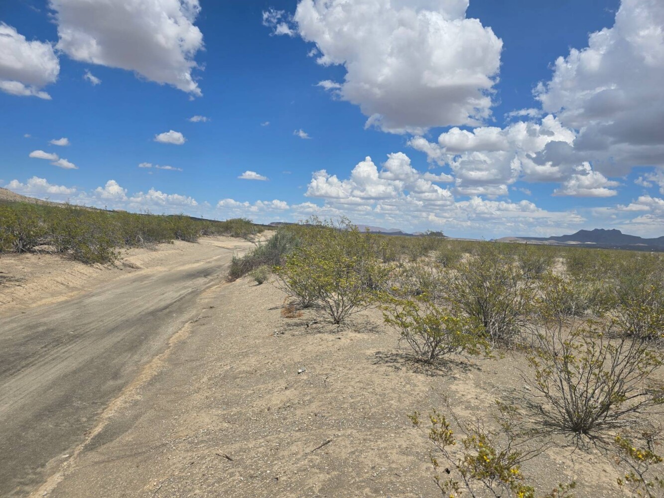 Land for Sale in Brewster County, TX (7 of 8)