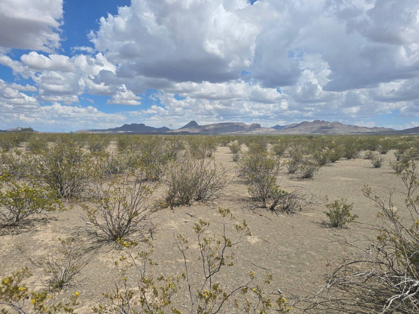 Land for Sale in Brewster County, TX (8 of 8)