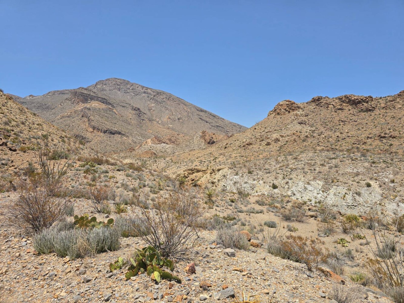 Land for Sale in Brewster County, TX (1 of 9)