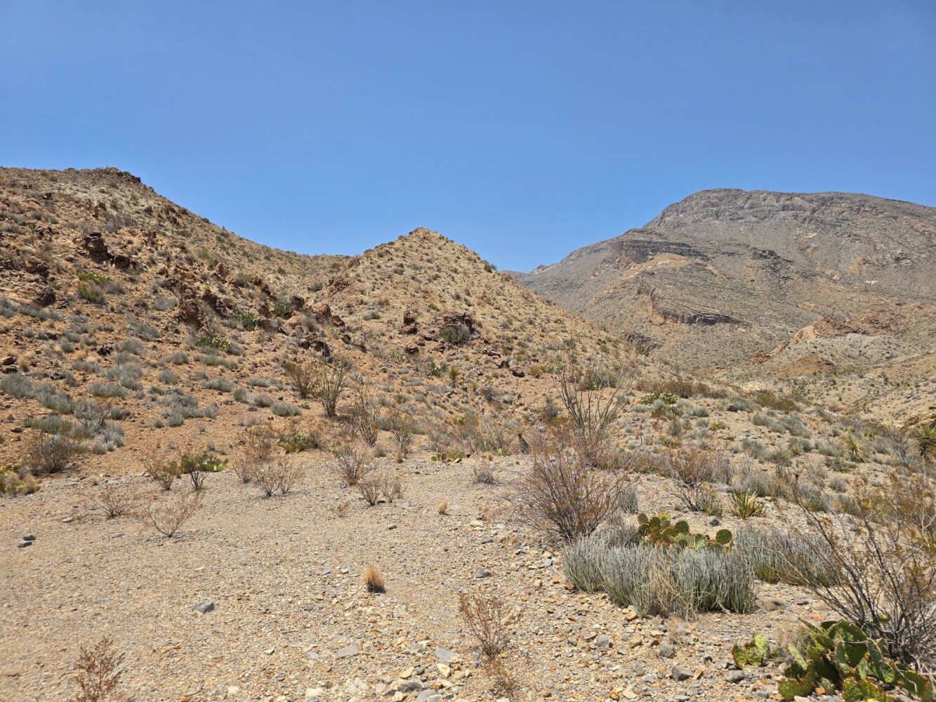 Land for Sale in Brewster County, TX (2 of 9)
