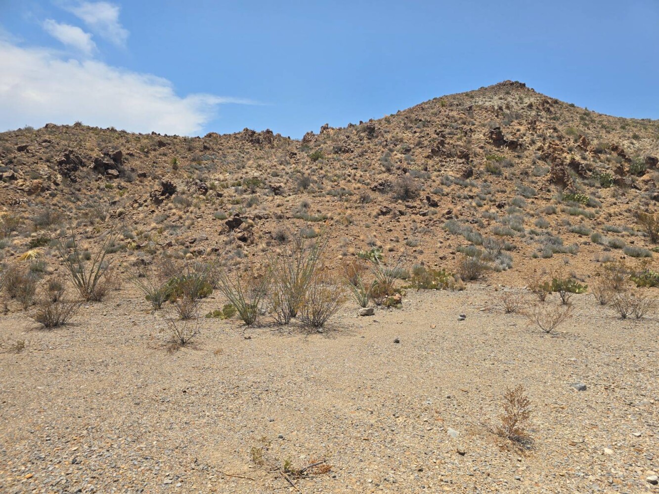 Land for Sale in Brewster County, TX (3 of 9)