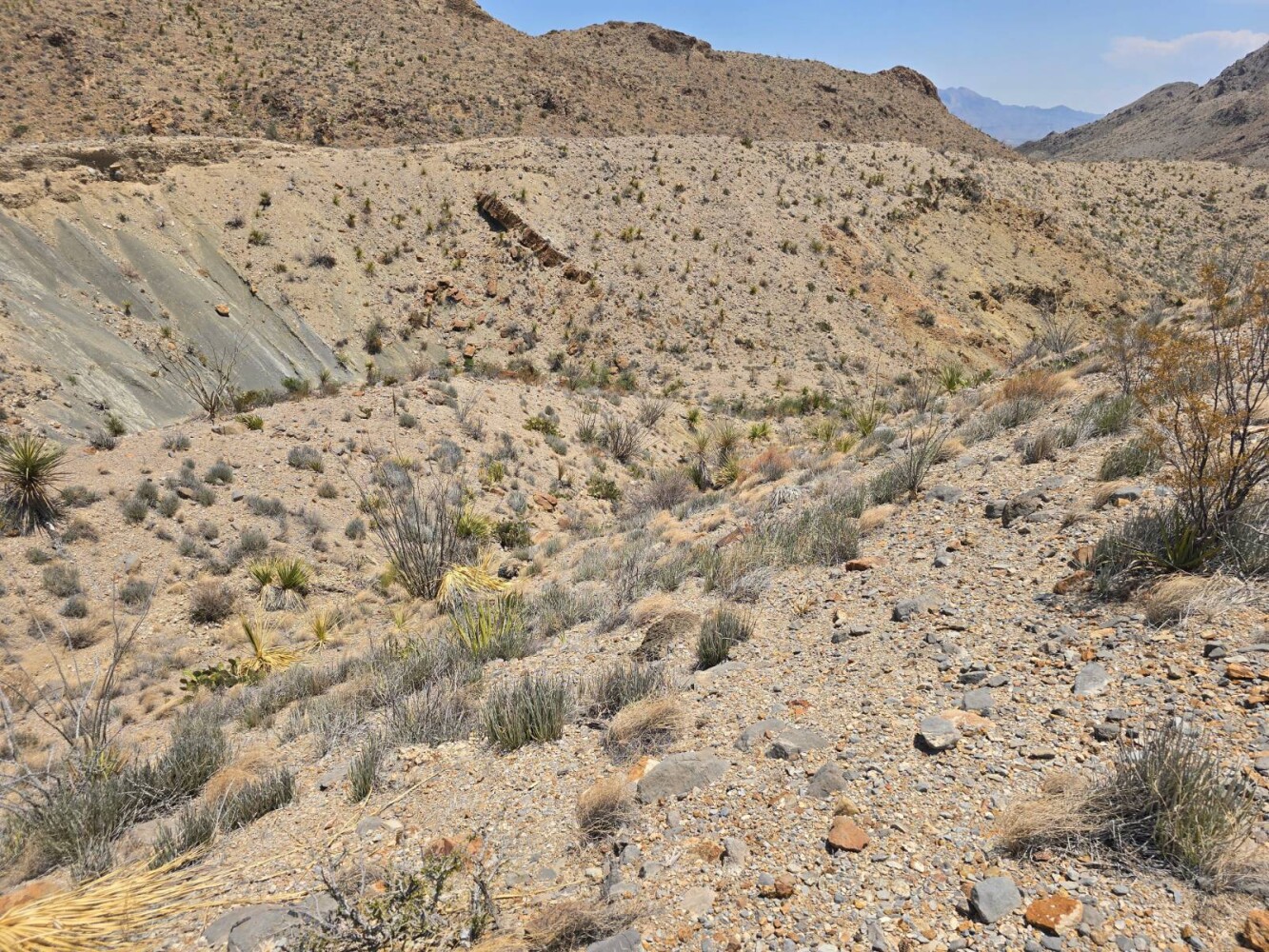 Land for Sale in Brewster County, TX (4 of 9)