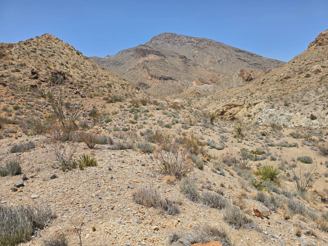 Land for Sale in Brewster County, TX (5 of 9)