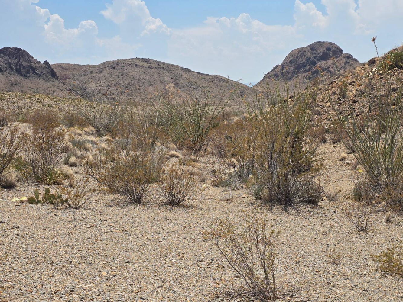 Land for Sale in Brewster County, TX (6 of 9)