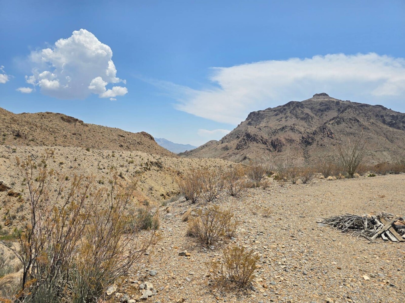 Land for Sale in Brewster County, TX (7 of 9)
