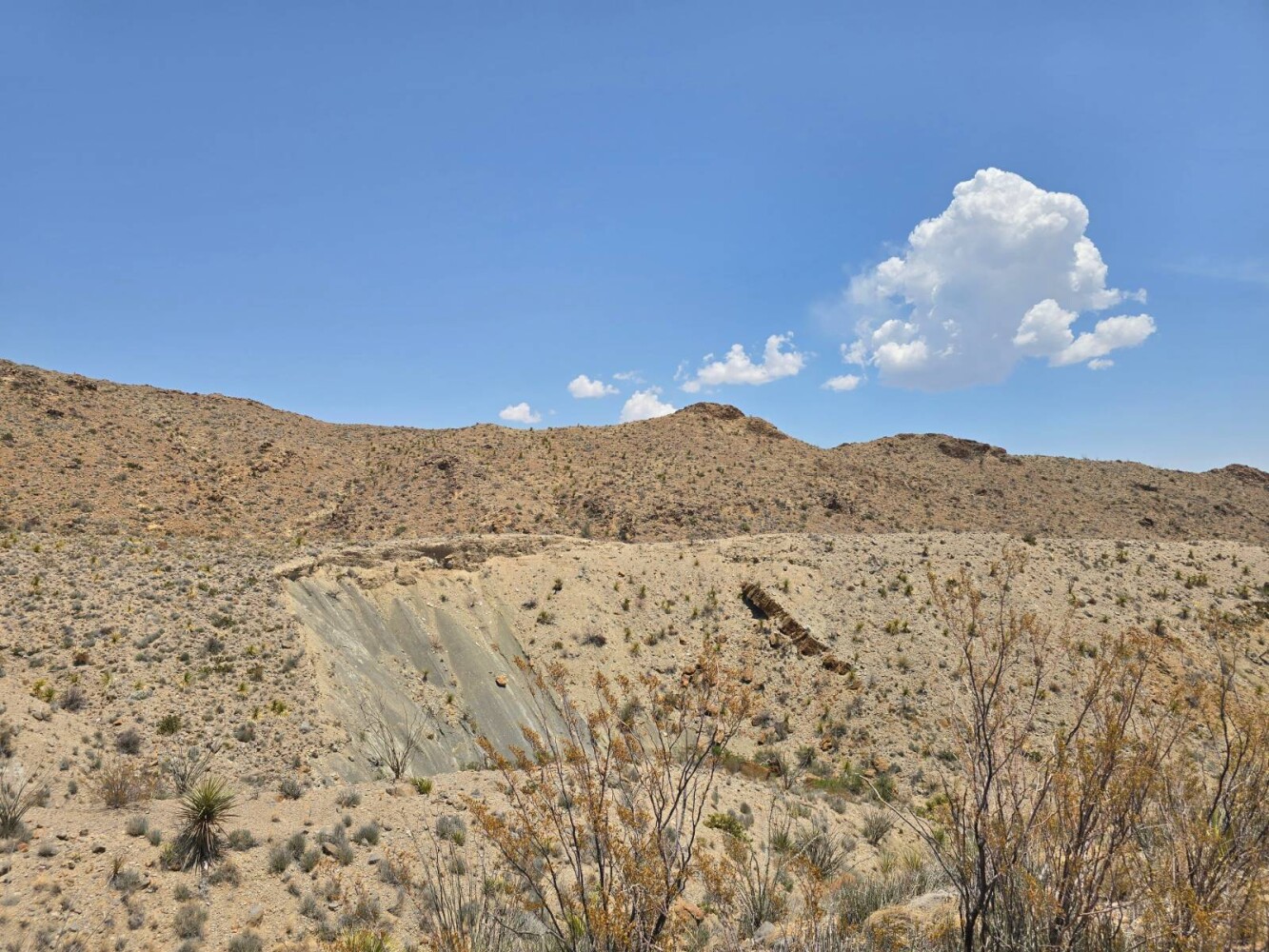 Land for Sale in Brewster County, TX (9 of 9)