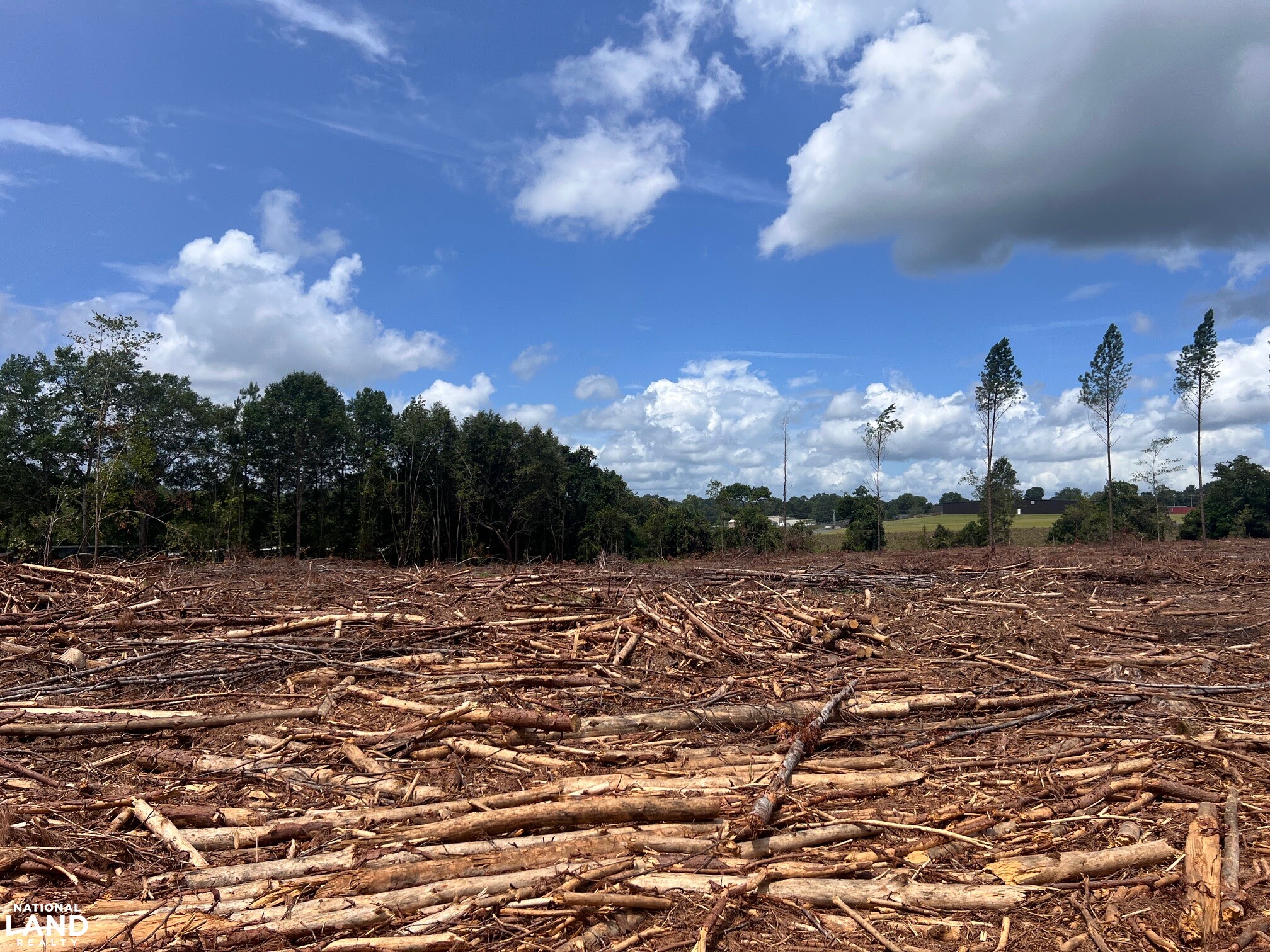 Sunflower Estates LOT 2 in Calhoun County, SC (2 of 10)