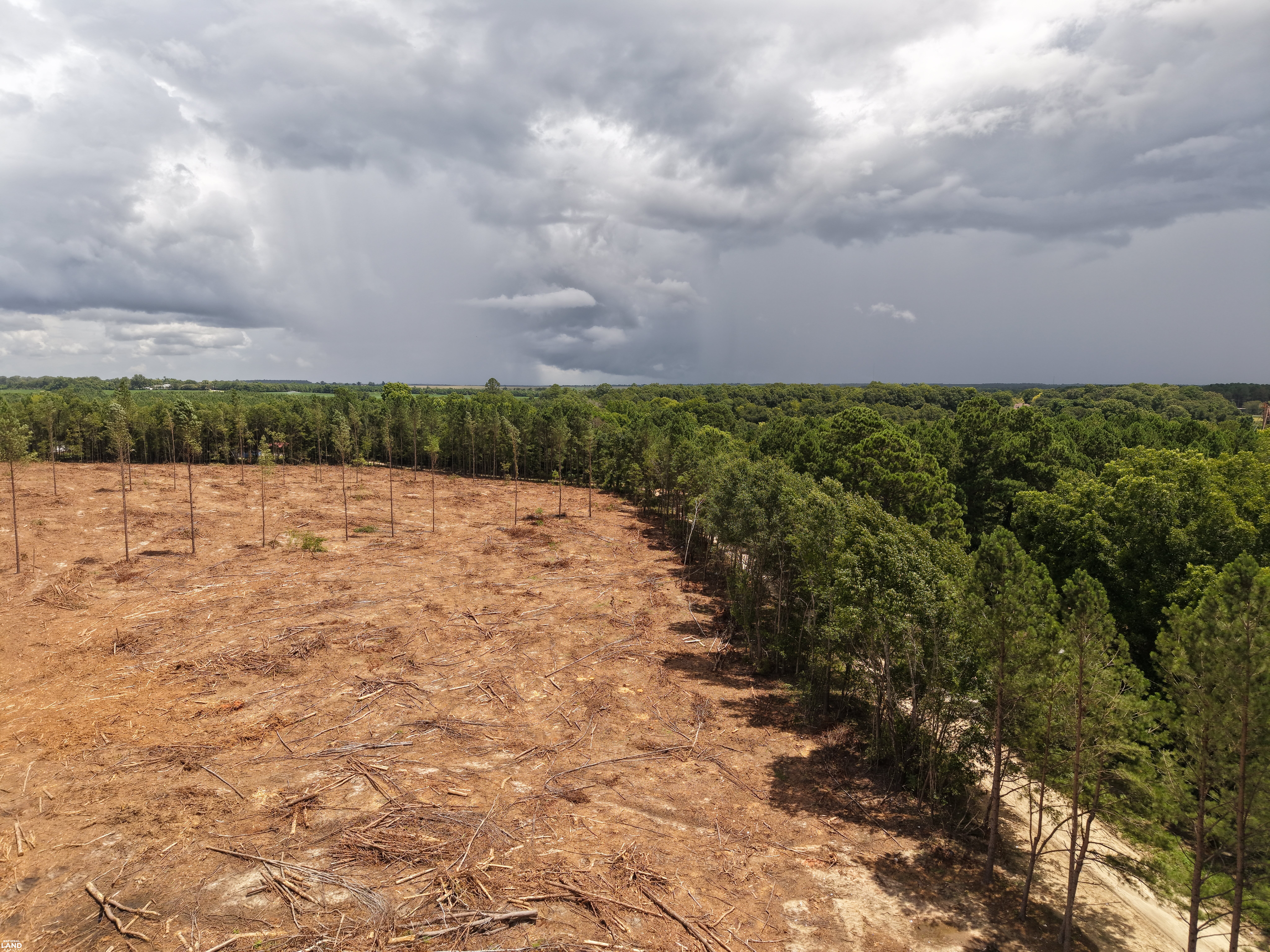Sunflower Estates LOT 4 in Calhoun County, SC (5 of 8)