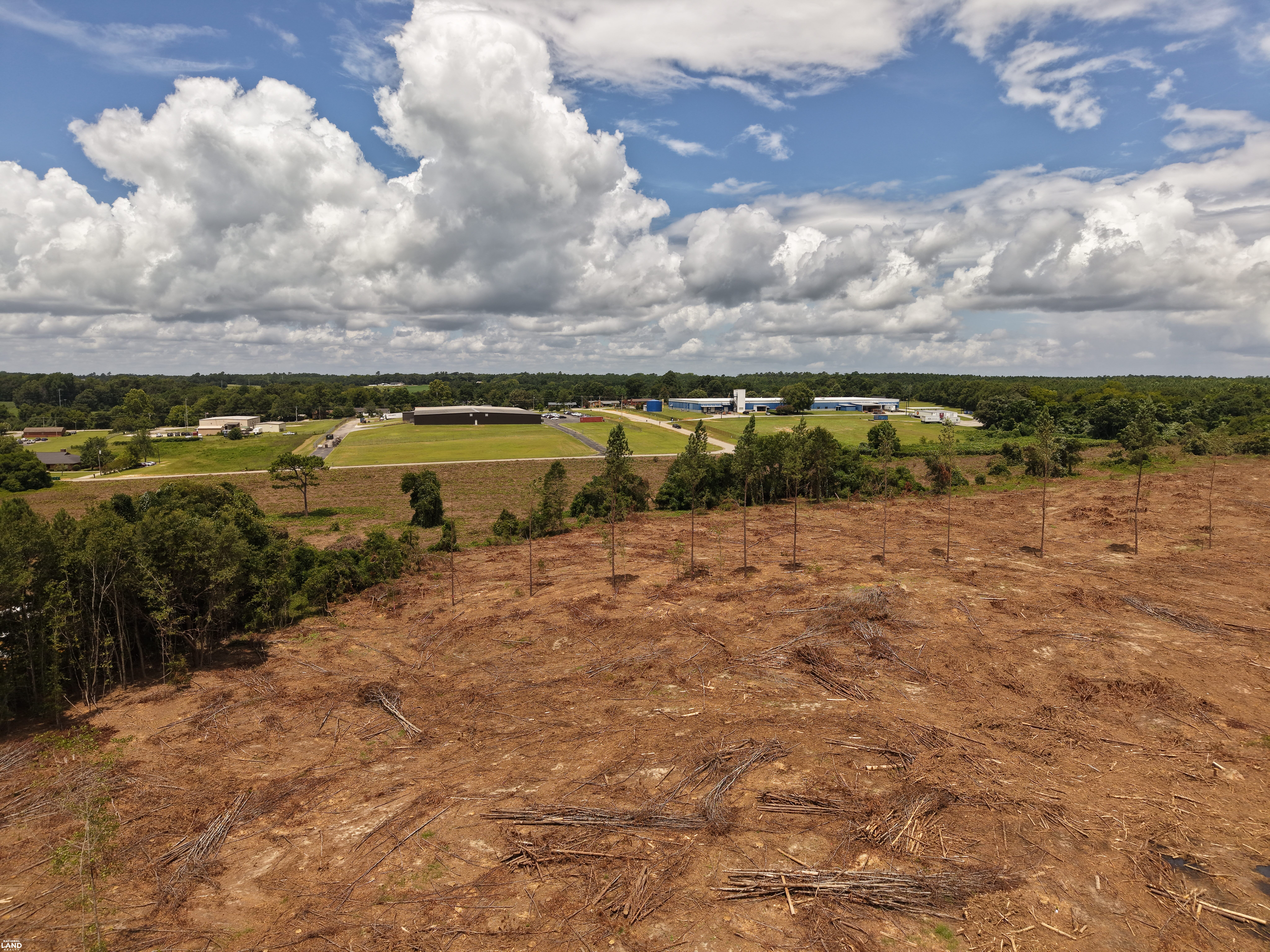 Sunflower Estates LOT 4 in Calhoun County, SC (6 of 8)