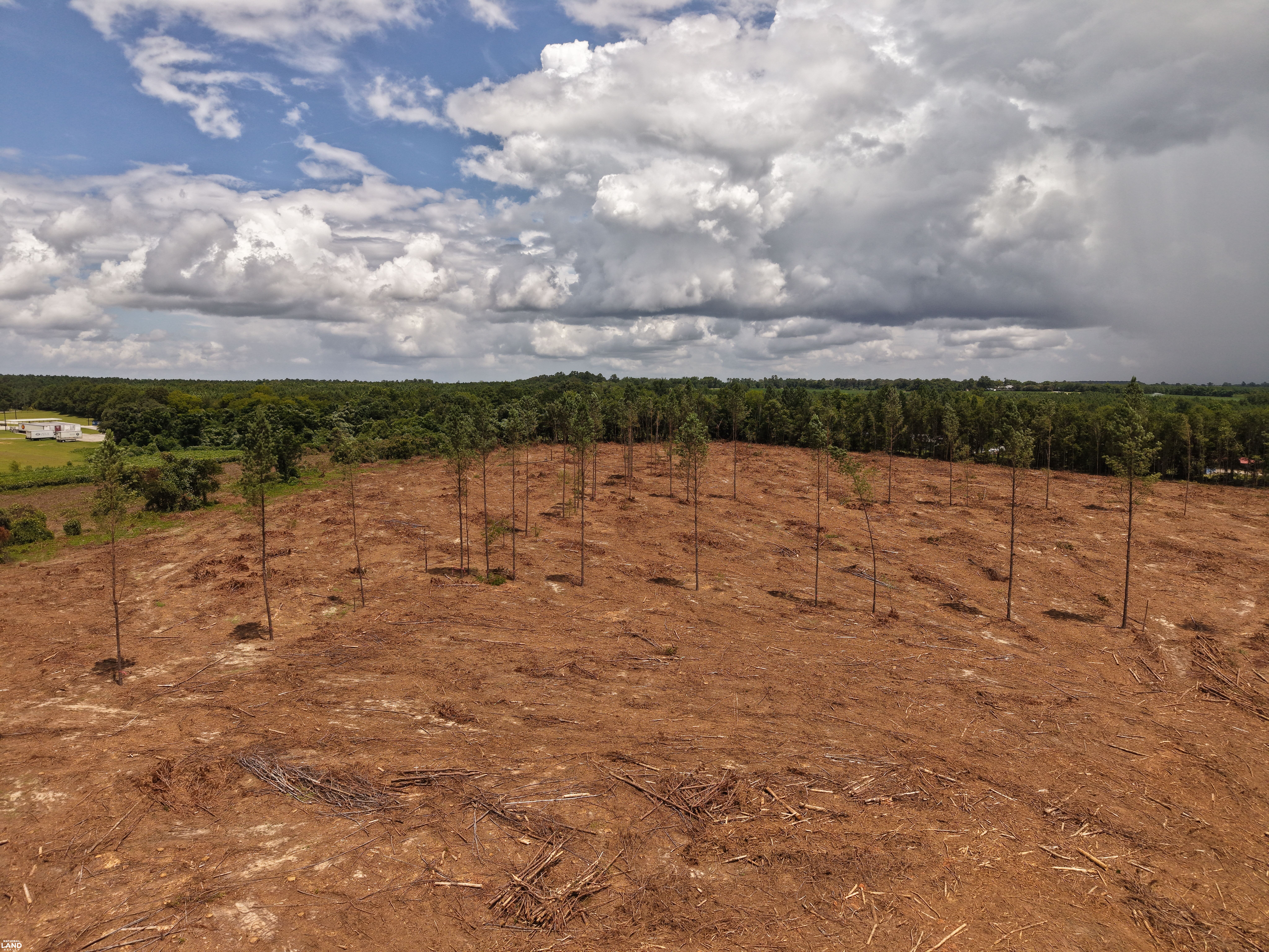 Sunflower Estates LOT 4 in Calhoun County, SC (7 of 8)