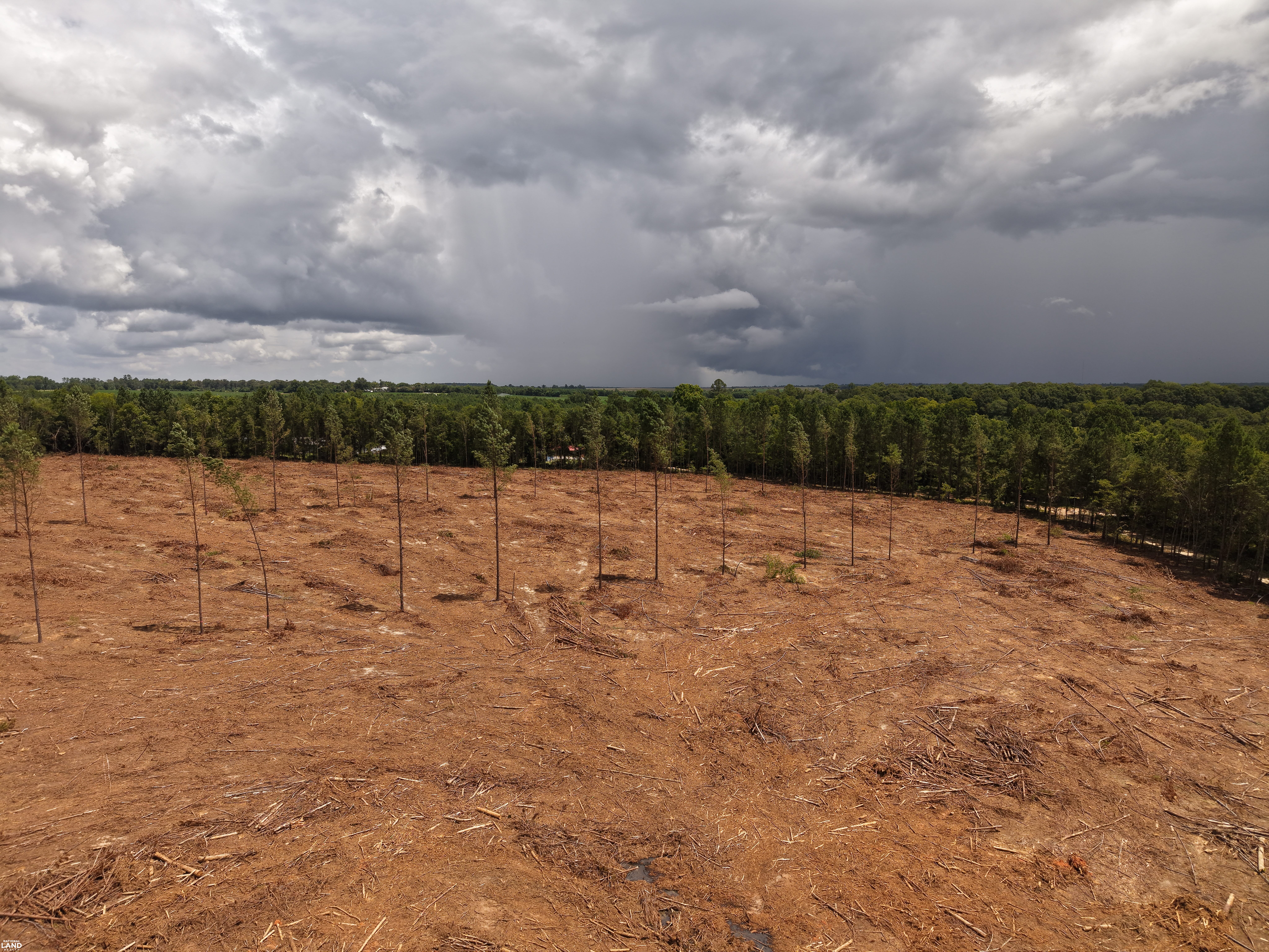 Sunflower Estates LOT 4 in Calhoun County, SC (8 of 8)